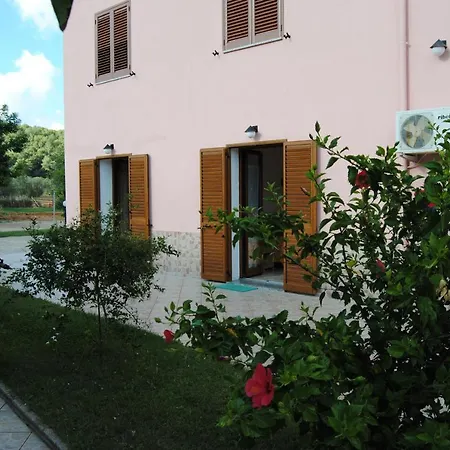 Arenosu25 *